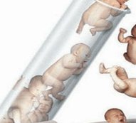 北京哪家助孕机构好？首选当然是北医三院