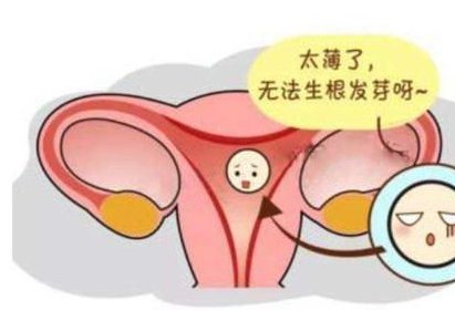 泰国试管好还是乌克兰好，两地之间的主要差异对比